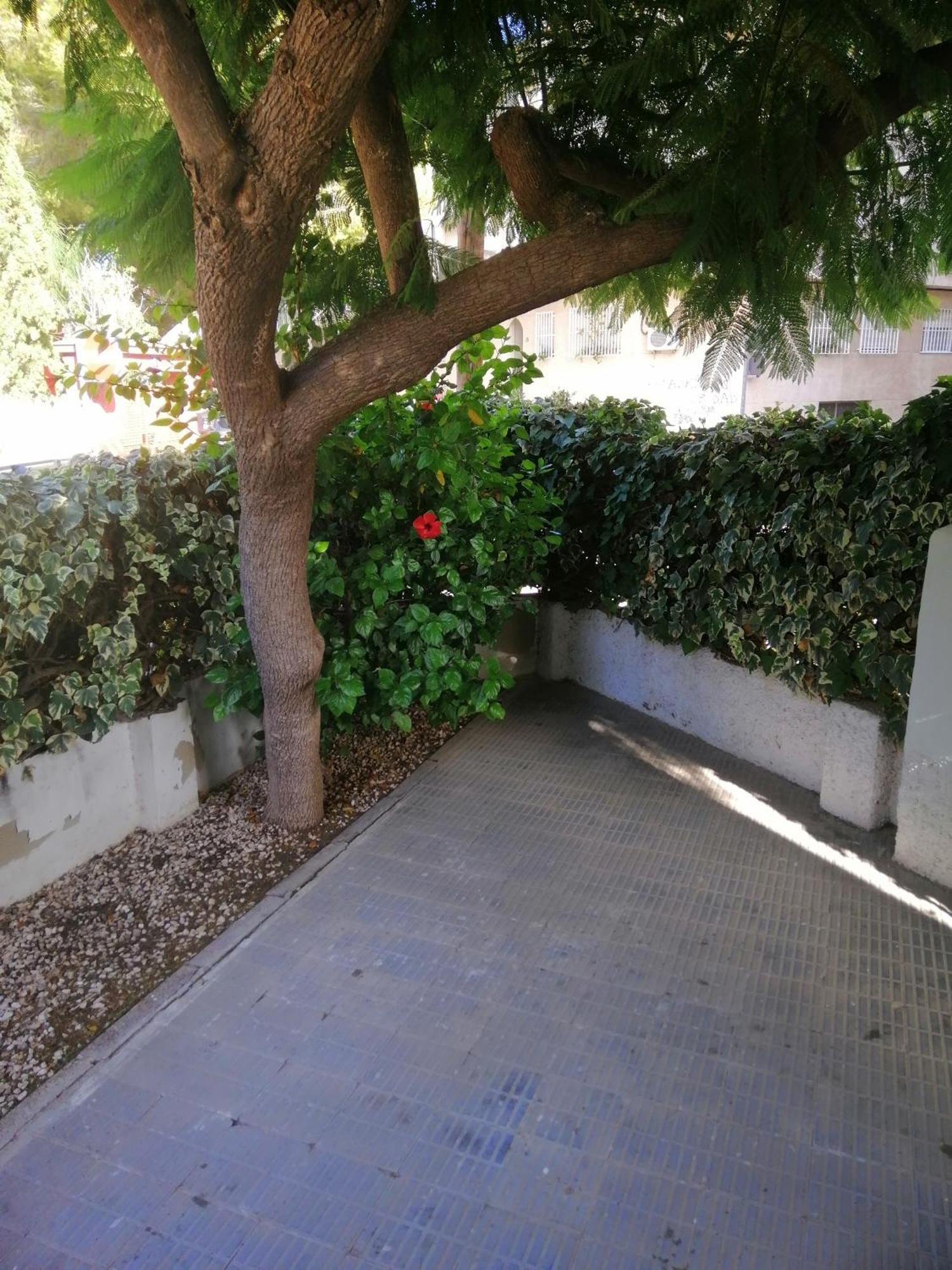 Chalet II Con Jardin Y Wifi En La Playa San Pedro del Pinatar Exterior foto